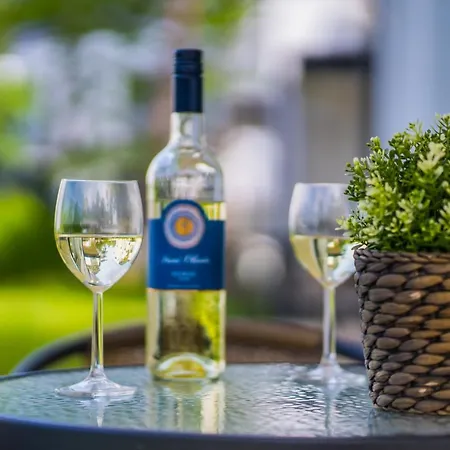 Gemini I., Iii. Apartment *