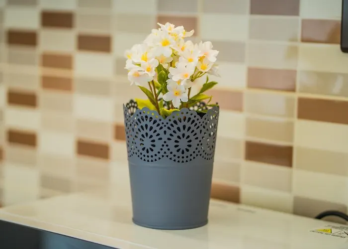 Gemini I., Iii. דירה