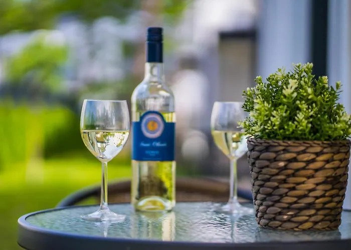 Gemini I., Iii. Lejlighed *