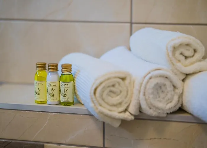 Gemini I., Iii. Lejlighed *